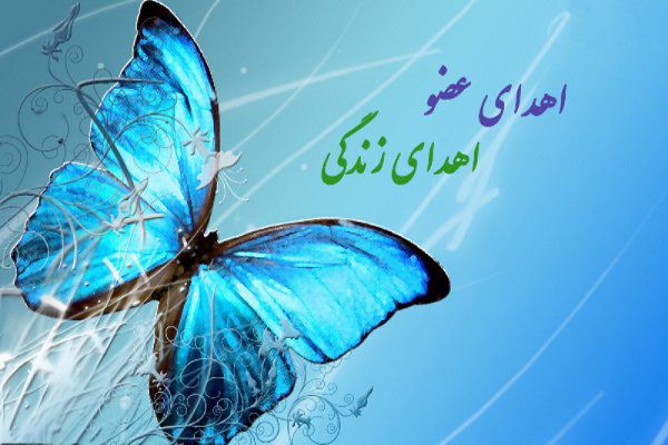 «اهدای عضو» در گلستان نیازمند فرهنگ سازی است

