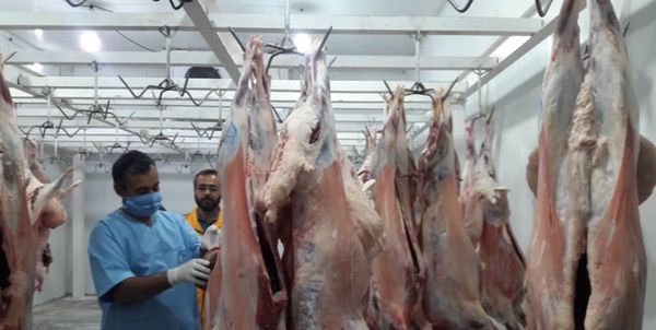 احتمال تعطیلی کشتارگاه مرغ صنعتی «گلند»