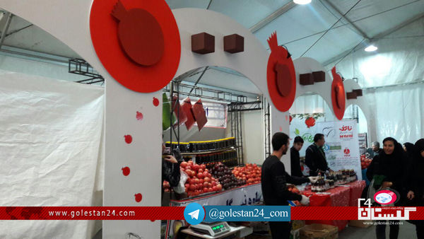 جشنواره انار یاقوت بهشت۹۵ در فرهنگسرای طبیعت به روایت تصویر