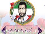 زیارت کربلا با ذکر «لبیک یا حسین»