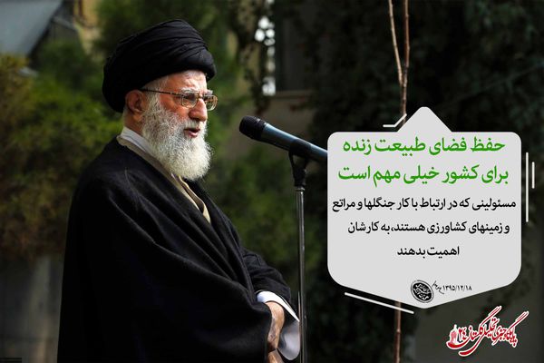 فتوتیتر/ حفظ فضای طبیعت زنده برای کشور خیلی مهم است