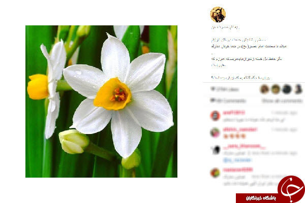 تبریک اینستاگرامی چهره ها به مناسبت ولادت امام زمان (عج) +تصاویر
