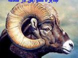 رقابت جدید نانواییهای کلاله+تصویر
