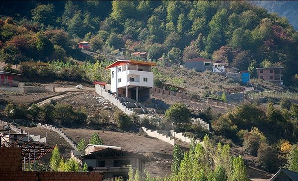 واگذاری گسترده اراضی جنگلی به بخش خصوصی /نقش افراد ذی نفوذ در جنگل خواری گلستان