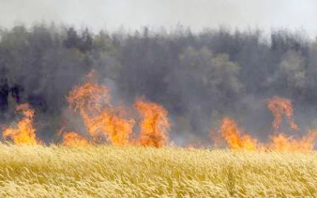 125 هکتار از گندمزارهای گلستان در آتش سوخت