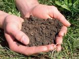 بیش از ۶۰ درصد زمین‌ها استان کمبود شدید فسفر دارند