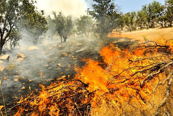 
اطفای آتش در میانکاله
