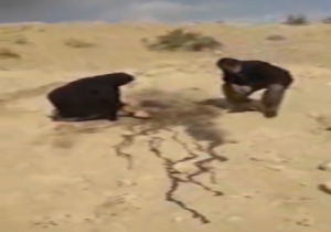 فیلم/ لحظه غمناک حضور مادر جوان مهابادی در قتلگاه پسرش