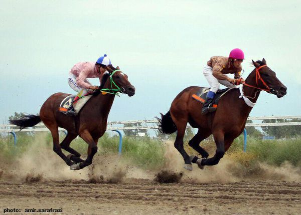 مسابقات هفته سوم سوار کاری بندر ترکمن 