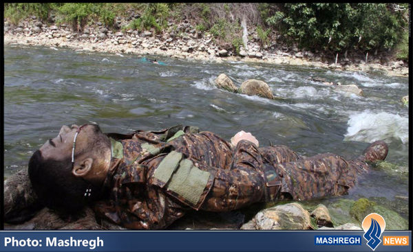 عکس/ «مدافع حرم» آرمیده در مهریه صاحبِ «حرم»