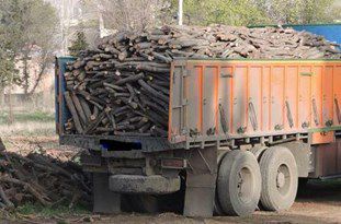 کشف بیش از 2000 کیلوگرم چوب در گنبد