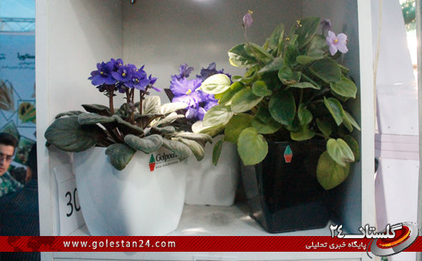 نمایشگاه گل و گیاه گرگان در لنز گلستان24(قسمت دوم):