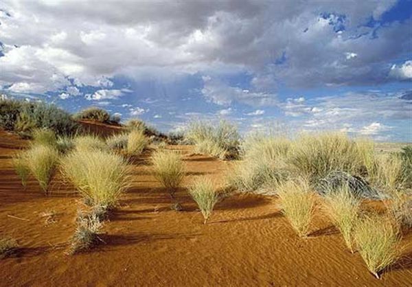 اختصاص اعتبار ۸ میلیاردتومانی برای مقابله با بیابانزایی در گلستان