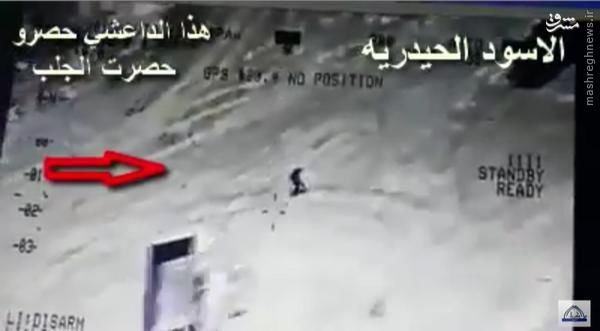 شکار انتحاری داعش توسط کماندوهای عراقی+عکس و فیلم