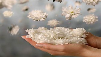 اگر فردی از سه چیز برخوردار باشد نعمت دنیا بر او تمام شده است