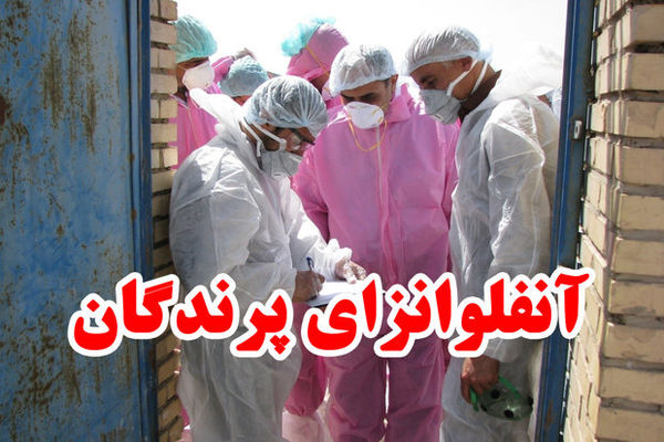 آنفلوانزای پرندگان در گلستان مشاهده نشده است