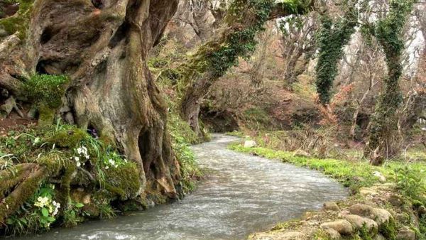 کاهش ۴۰ تا ۷۰ درصدی رواناب رودخانه های علی آباد کتول