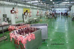 اولین کشتارگاه صنعتی دام سبک و سنگین استان گلستان+عکس