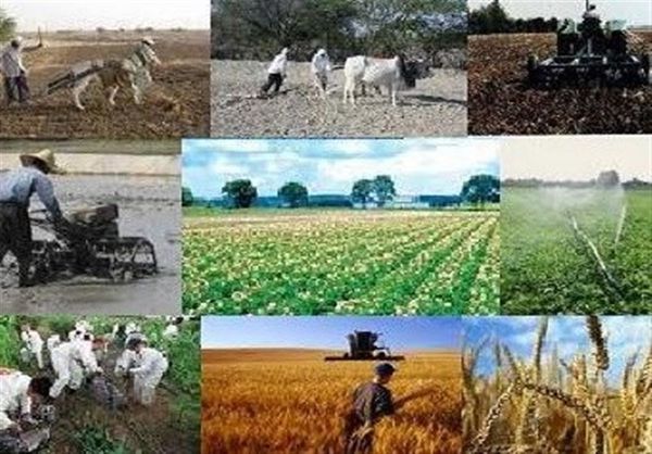بیش از ۱۵۰ میلیارد تومان تسهیلات اشتغال روستایی در استان گلستان پرداخت شد