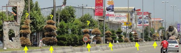 علت خشک شدن ناگهانی فضای سبز شهر کردکوی چه می تواند باشد؟