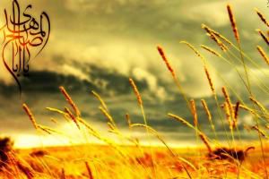 نحوه تقسیم اموال در دولت امام زمان(عج)