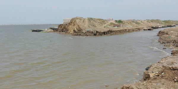 صید ماهیان سفید در فصل تخم ریزی / اداره شیلات گلستان جلوی صیادان متخلف را بگیرد