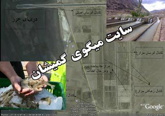 کلاه گشادی که سر فارغ التحصیلان کشاورزی استان گلستان رفت / اشتغال جوانان حلقه گم شده در سایت میگو