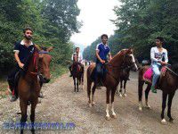 سوارکاران "محشر" در جنگل کبودوال+ تصاویر