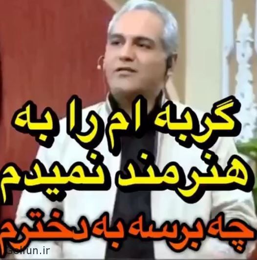 فیلم/ مهران مدیری: گربه‌ام را هم به هنرمندان نمی‌دهم چه برسد به دختر!