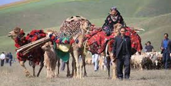 تولید بیش از 25 درصد گوشت قرمز گلستان توسط عشایر/ عشایر سربازان خط مقدم اقتصاد مقاومتی هستند