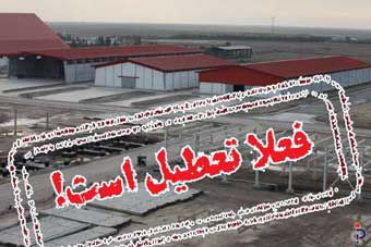 مرثیه ای برای انتظار ۹ ساله ۹۳ هزار سهامدار گلستانی !