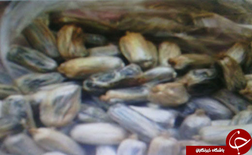 ردیابی بسته های مشکوک در معده مسافر مرموز+ عکس