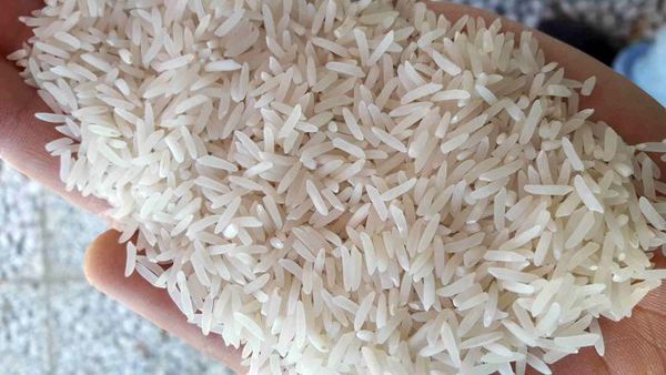 برنجهای وارداتی چرا ترخیص نشد؟