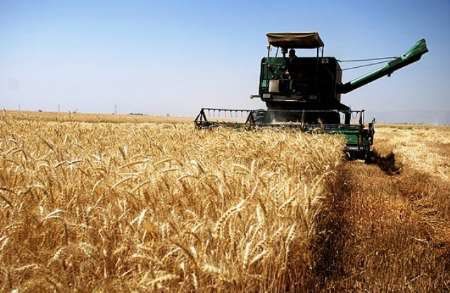 جنگل ها ومراتع گلستان قربانی آتش زدن مزارع