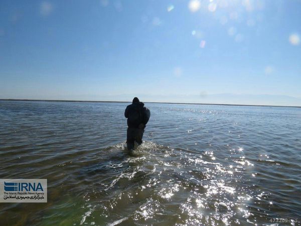 آبگیری حدود 50 درصد از تالاب بین المللی گمیشان
