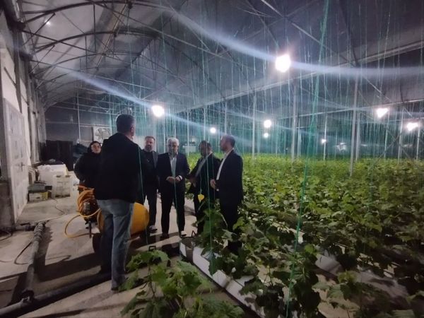 رفع موانع  واحدها می‌تواند زمینه توسعه و افزایش اشتغال را فراهم کند