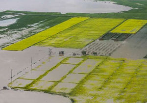 آغاز پرداخت غرامت کشاورزان کلاله از اوایل هفته آینده